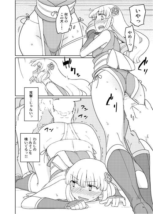 変身ヒロイン5