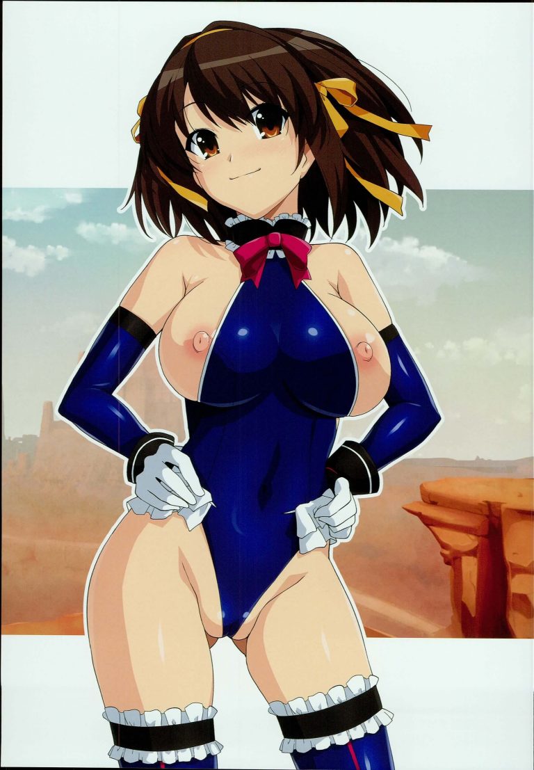 涼宮ハルヒの憂鬱14