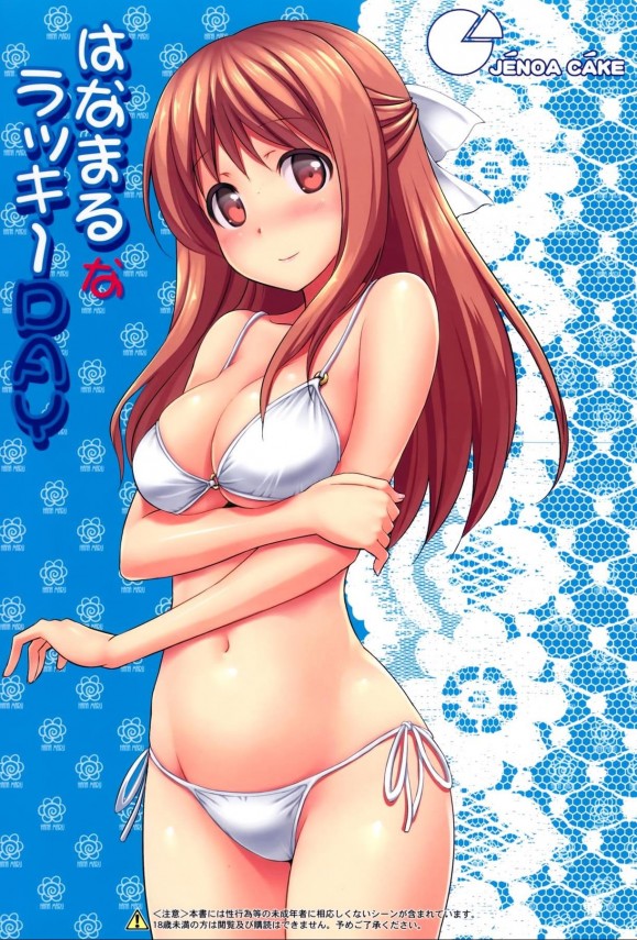 はなまる幼稚園2