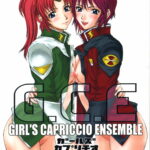 ルナマリア・ホーク