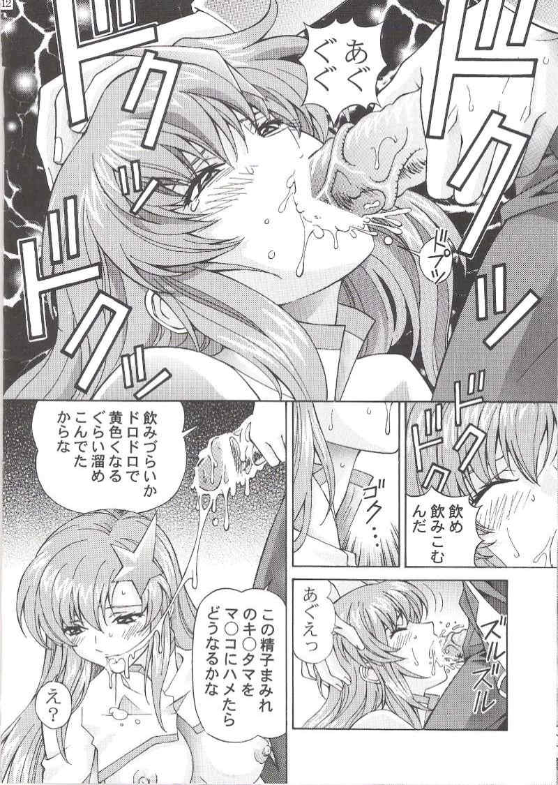 ミーア11