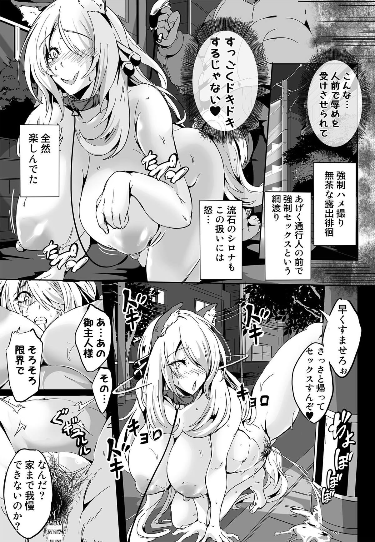 シロナ22