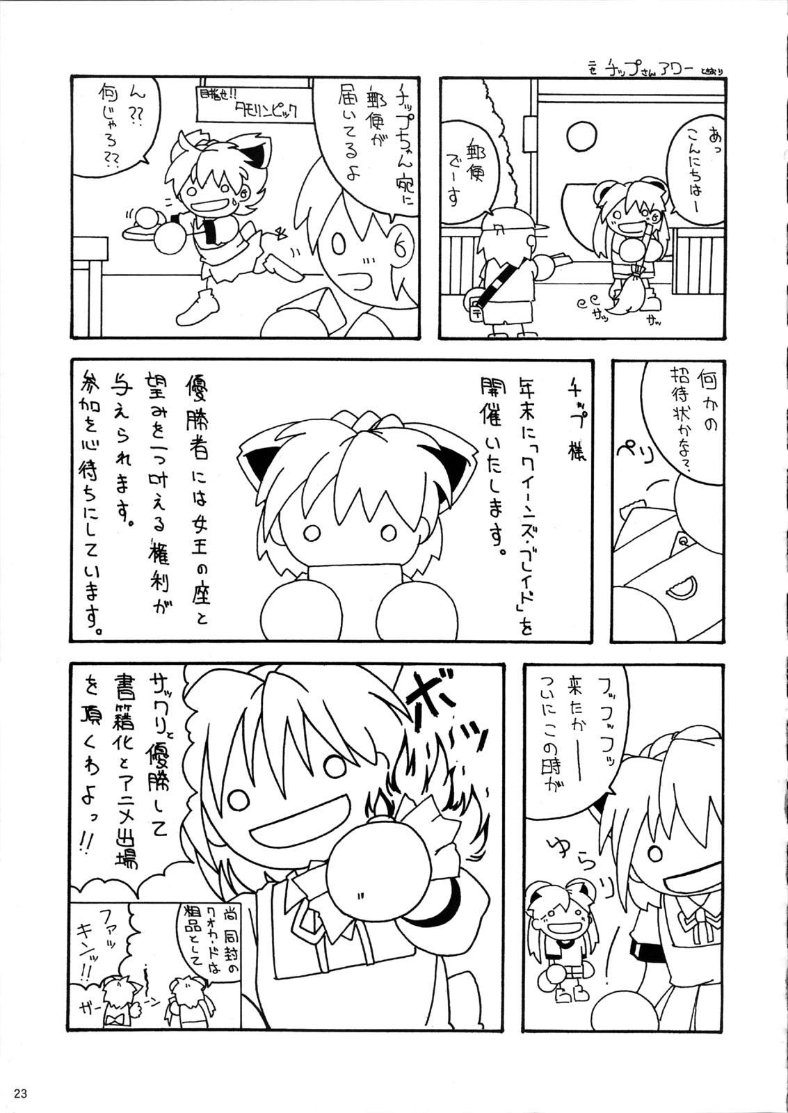 クイーンズブレイド22