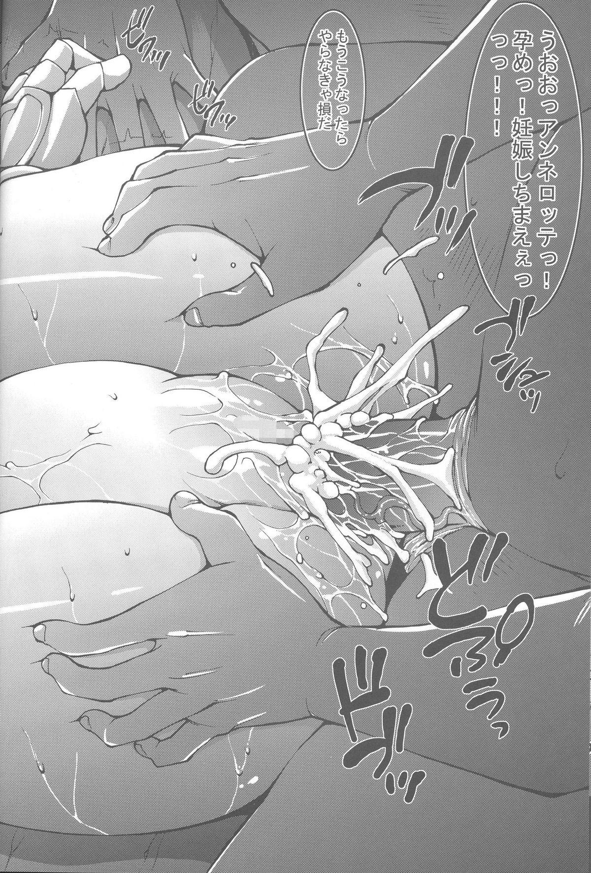 クイーンズブレイド27