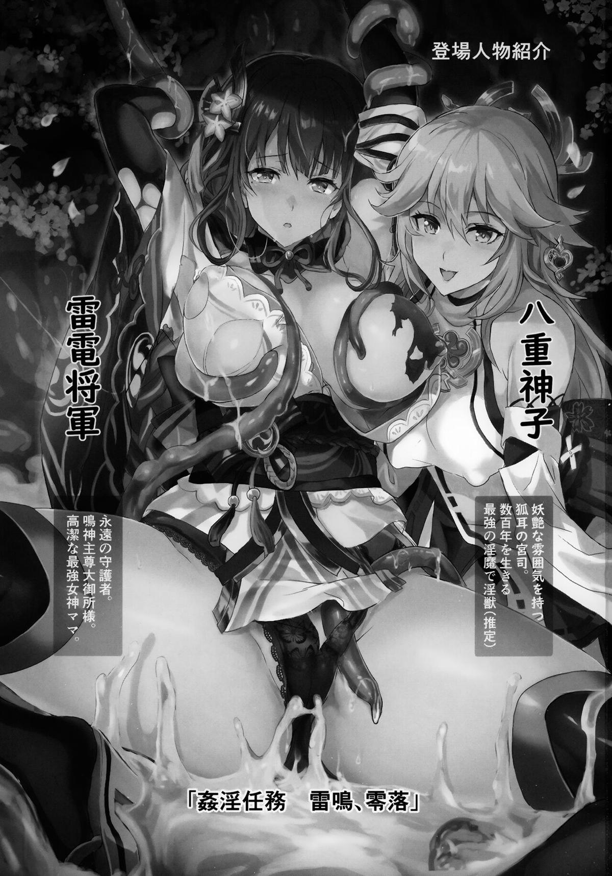 雷電将軍2